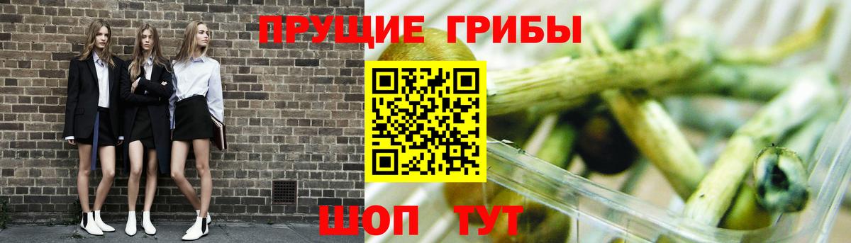 Галлюциногенные грибы Psilocybine cubensis Белебей
